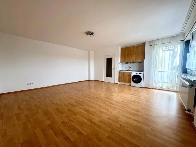 Wohnschlafzimmer (2)